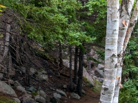 Cape Breton Highlands National Park